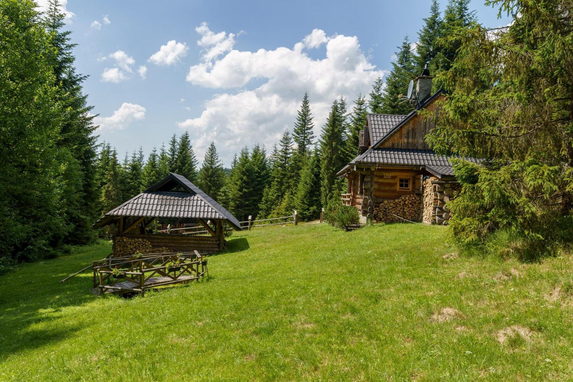 Вилла Lesna Bacowka Новы-Тарг Экстерьер фото